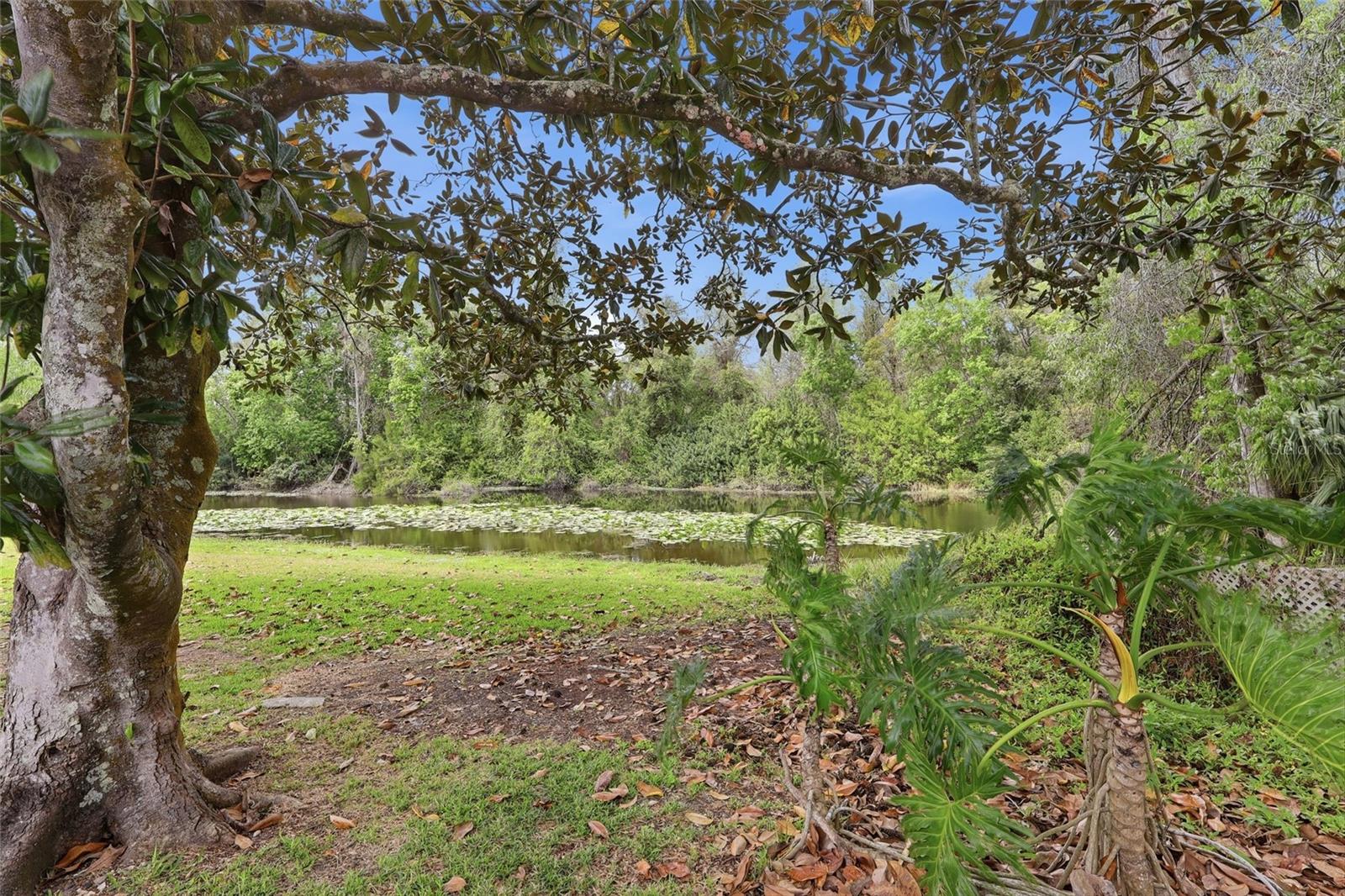 7209 MAGNOLIA VALLEY DR, NEW PORT RICHEY, FL, 34653