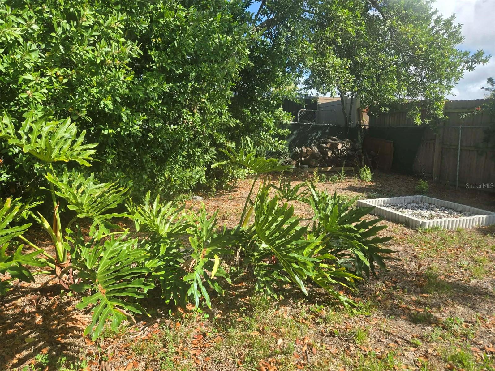 5605 DOLORES, HOLIDAY, FL, 34690
