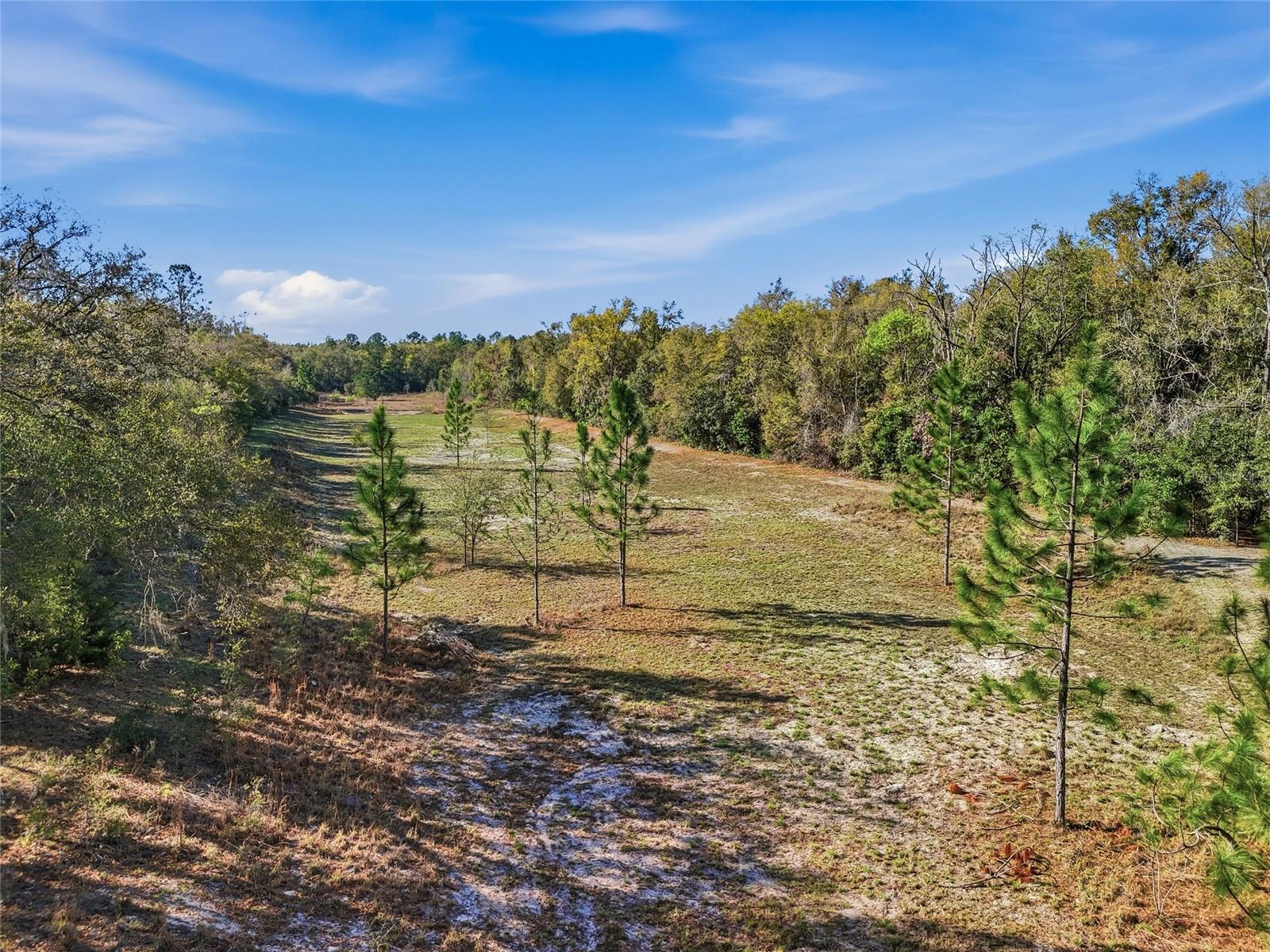 8920 NE 8TH PL, HIGH SPRINGS, FL, 32643