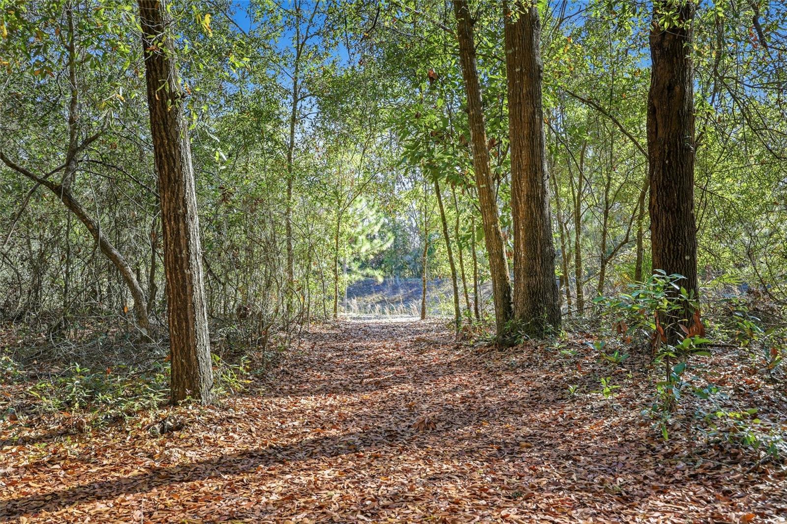 8920 NE 8TH PL, HIGH SPRINGS, FL, 32643