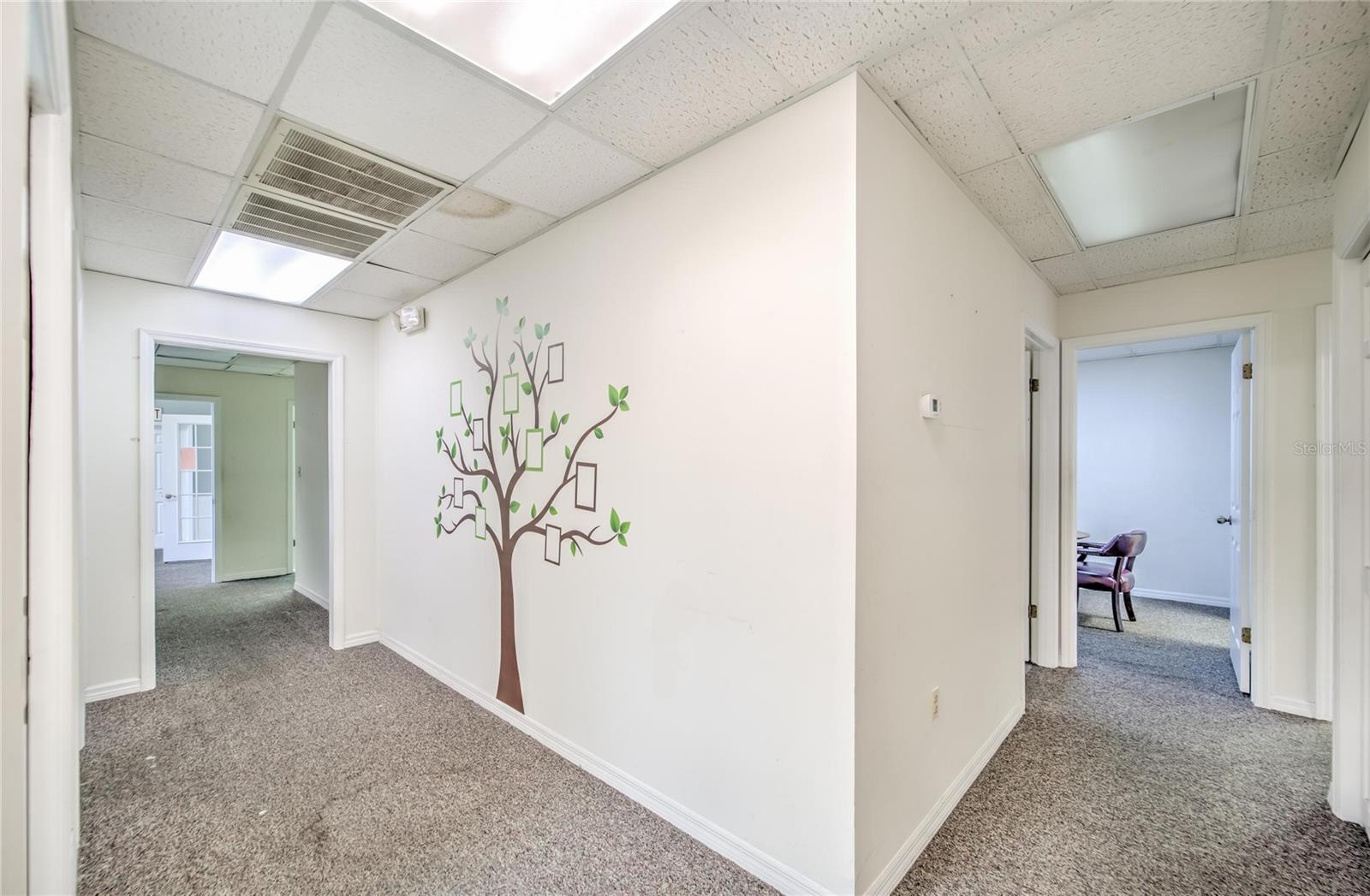 504 E BAKER ST, PLANT CITY, FL, 33563
