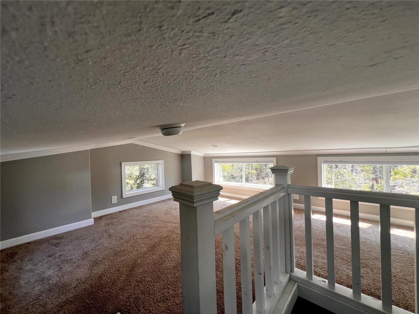 1459 NE 743 ST, CROSS CITY, FL, 32628
