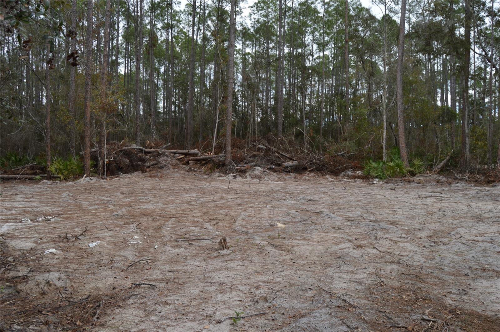 1459 NE 743 ST, CROSS CITY, FL, 32628