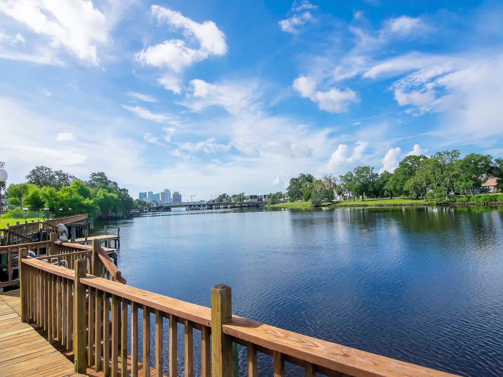 2780 N RIVERSIDE DR #802, TAMPA, FL, 33602
