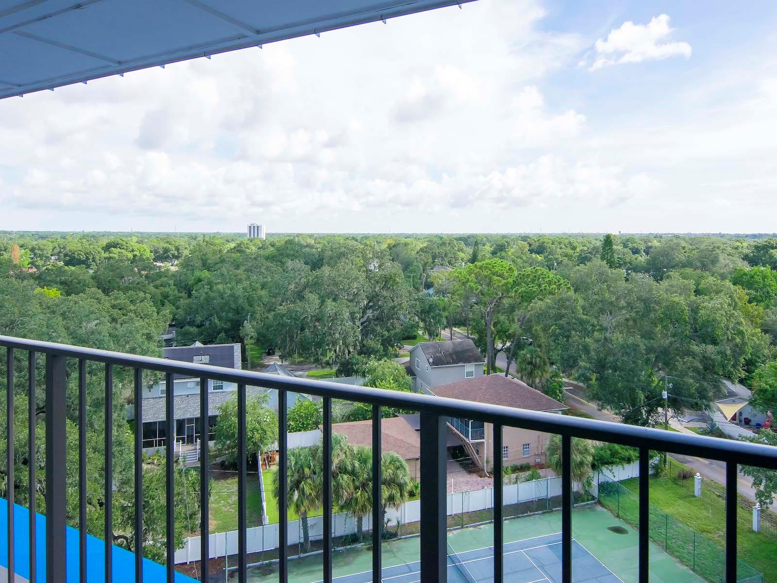 2780 N RIVERSIDE DR #802, TAMPA, FL, 33602