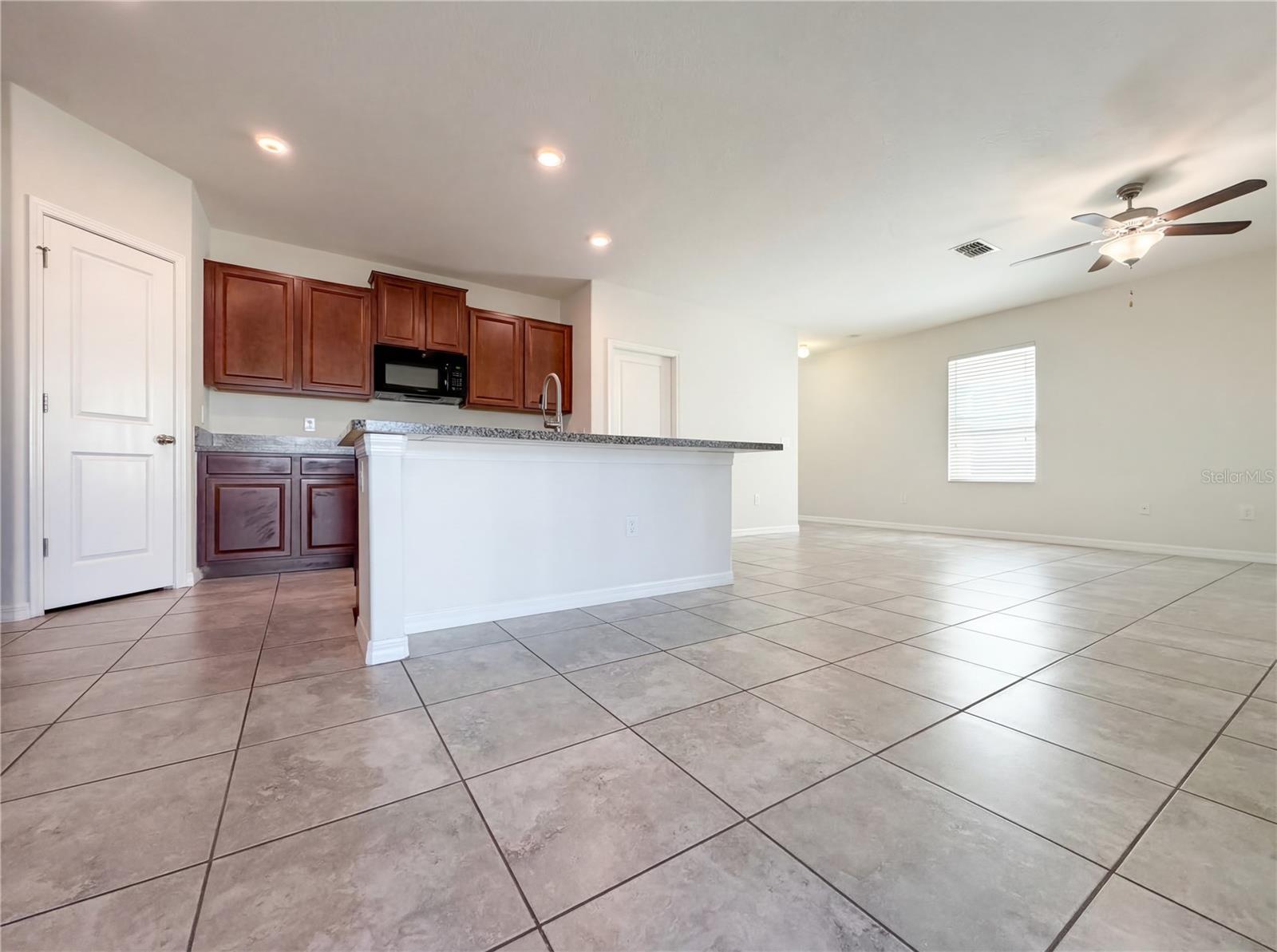17005 PEACEFUL VALLEY DR, WIMAUMA, FL, 33598
