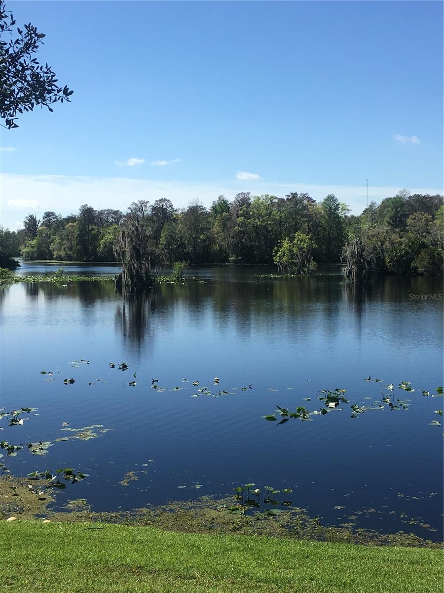 7433 TERRACE RIVER DR, TAMPA, FL, 33637