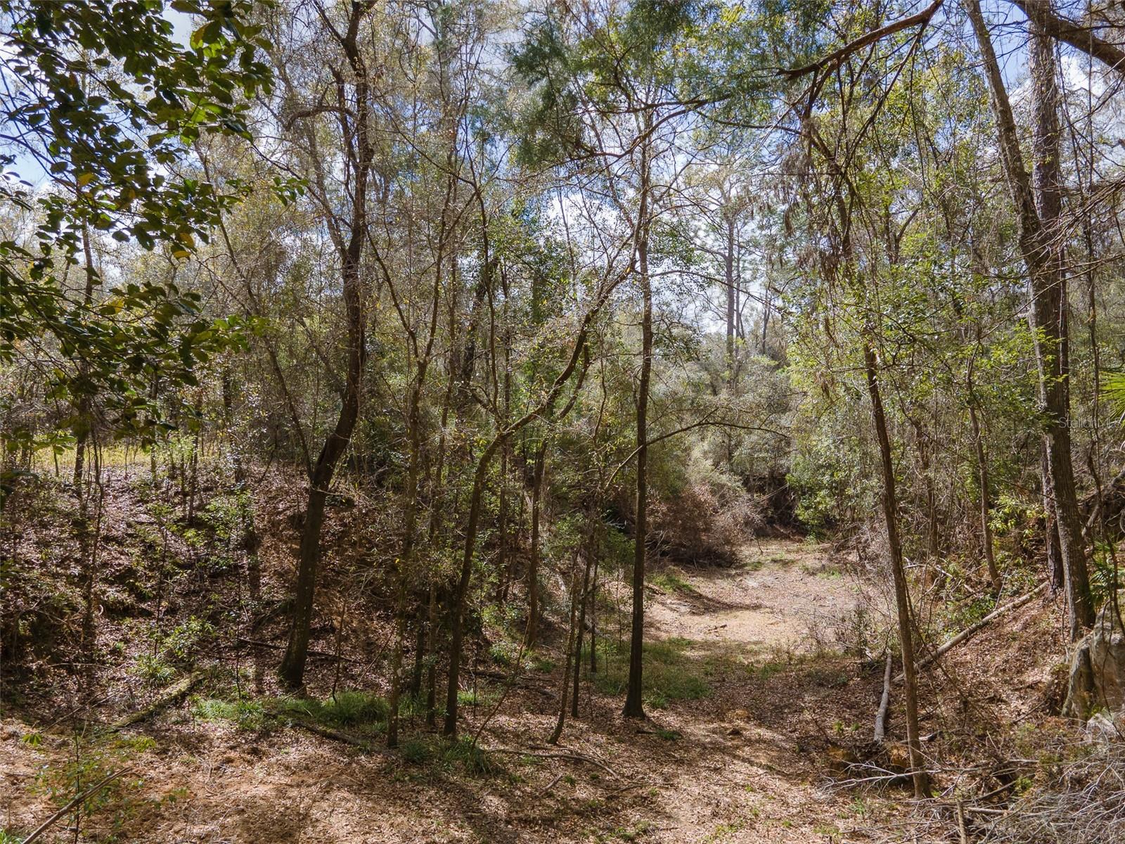 12890 NE 107TH AVE, ARCHER, FL, 32618