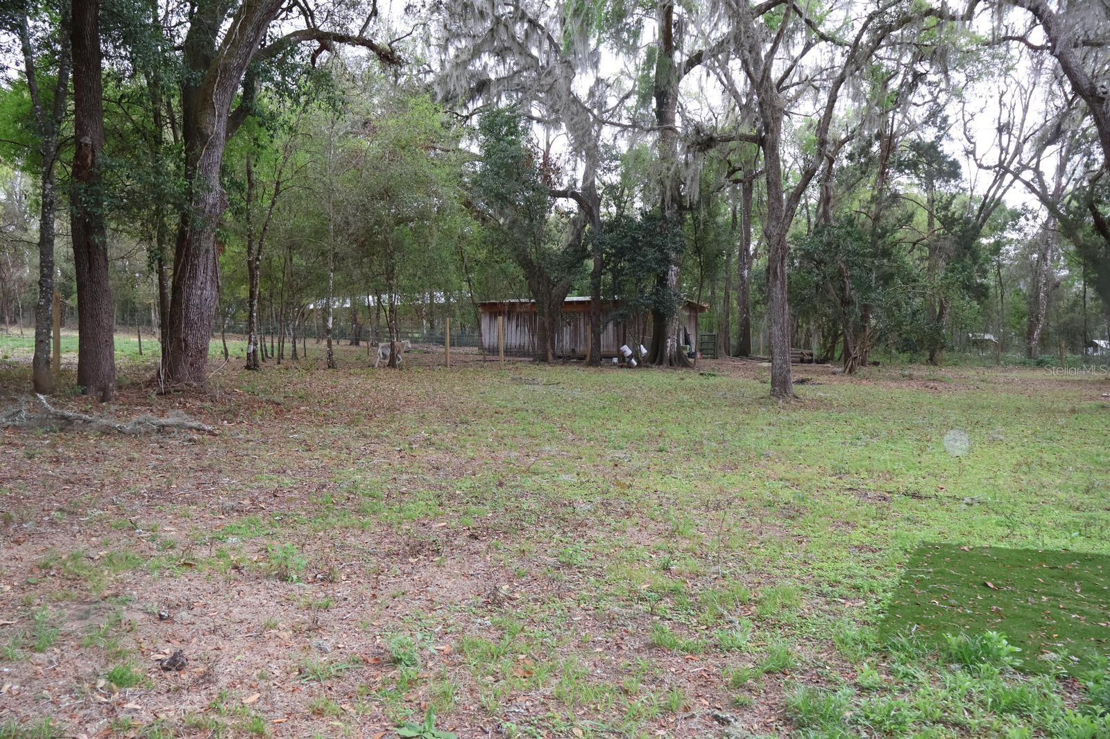 18240 MOUNT OLIVE DR, DADE CITY, FL, 33523