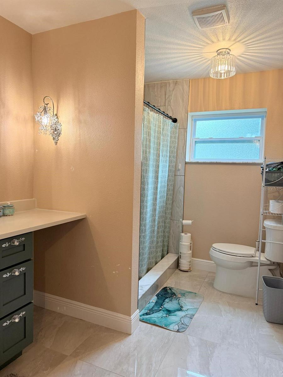 18240 MOUNT OLIVE DR, DADE CITY, FL, 33523