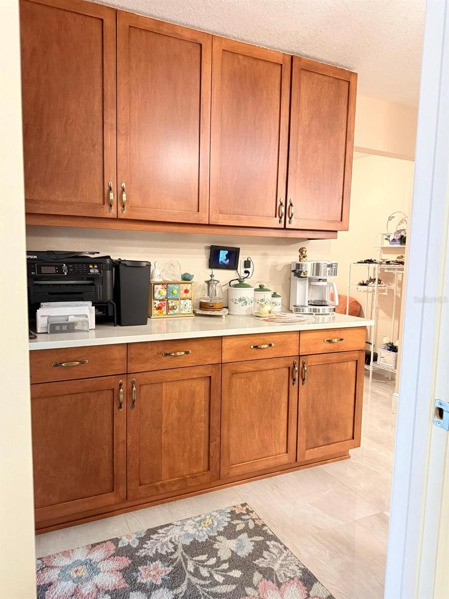 18240 MOUNT OLIVE DR, DADE CITY, FL, 33523