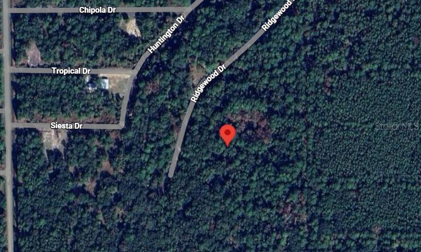 205 SIESTA DR, GEORGETOWN, FL, 32139