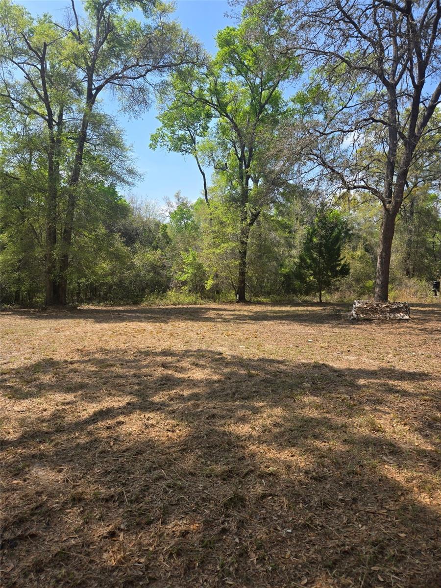 268 SW LUKE PL, FORT WHITE, FL, 32038