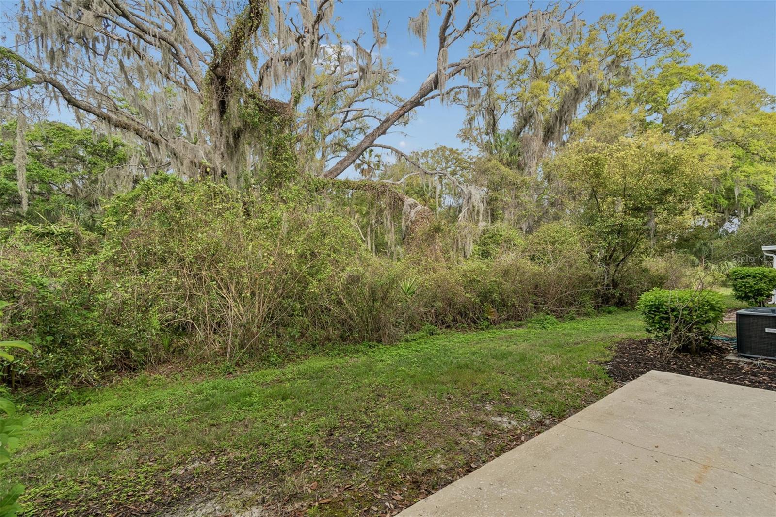 20112 INDIAN ROSEWOOD DR, TAMPA, FL, 33647