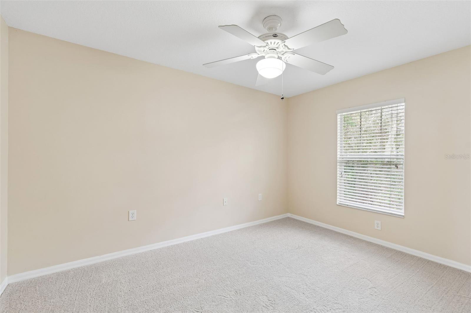 20112 INDIAN ROSEWOOD DR, TAMPA, FL, 33647