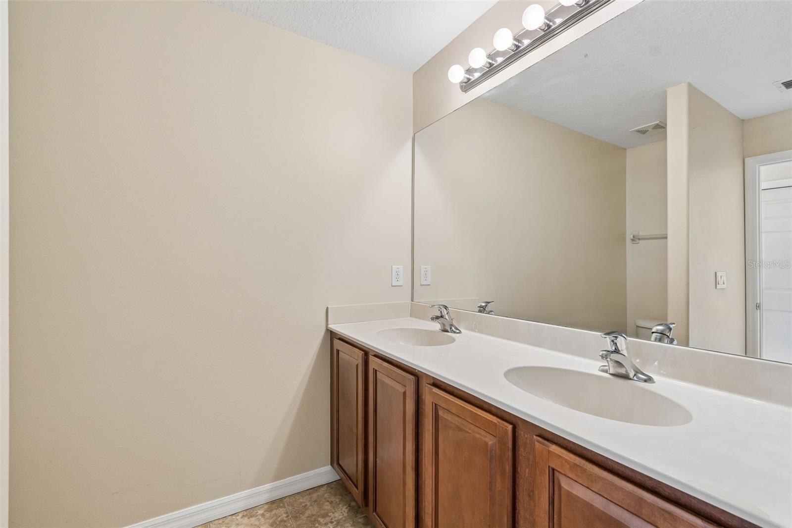 20112 INDIAN ROSEWOOD DR, TAMPA, FL, 33647