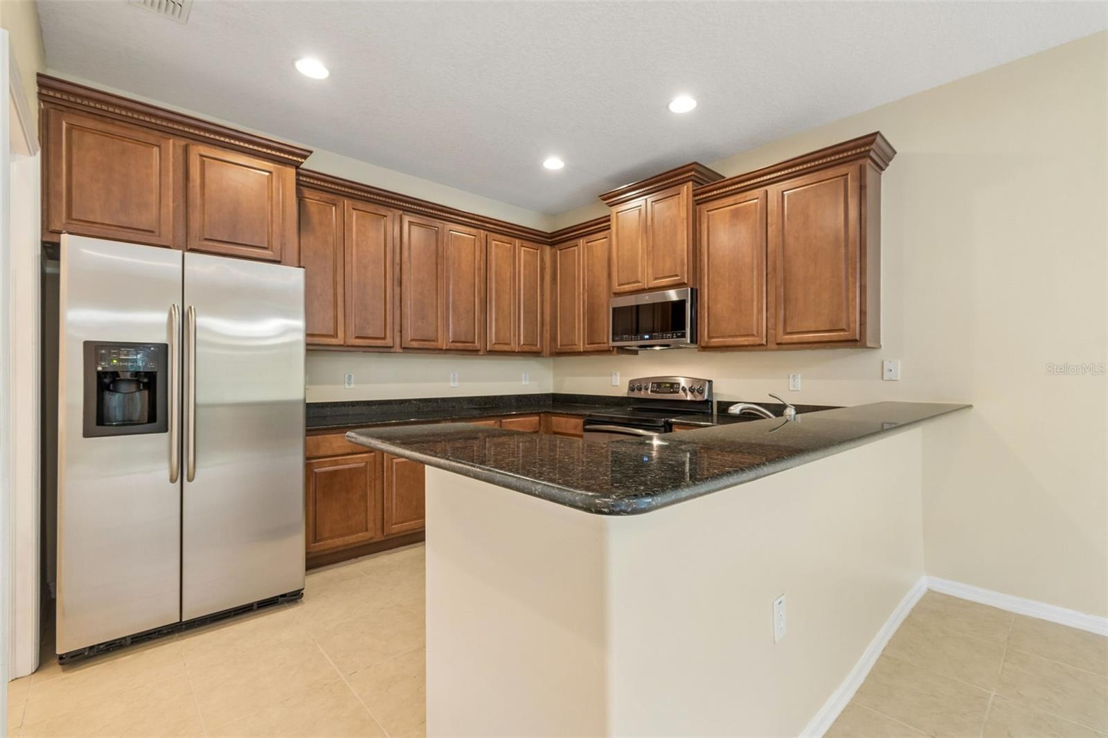 20112 INDIAN ROSEWOOD DR, TAMPA, FL, 33647