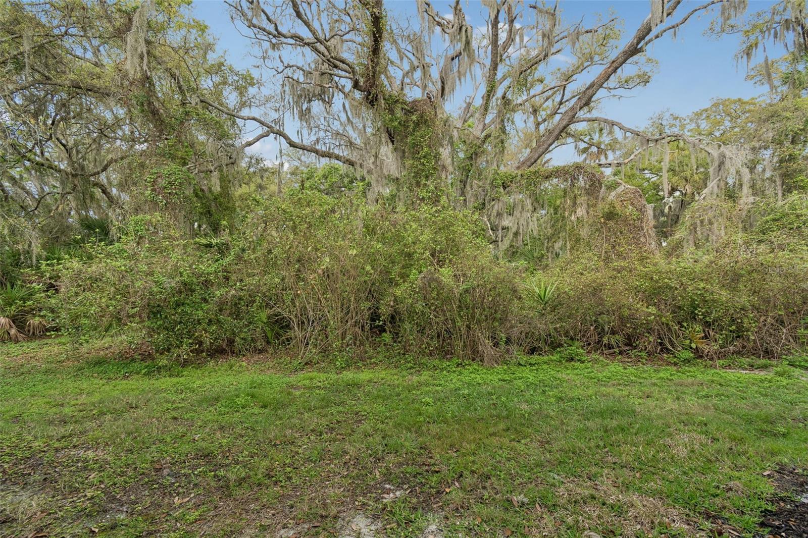 20112 INDIAN ROSEWOOD DR, TAMPA, FL, 33647