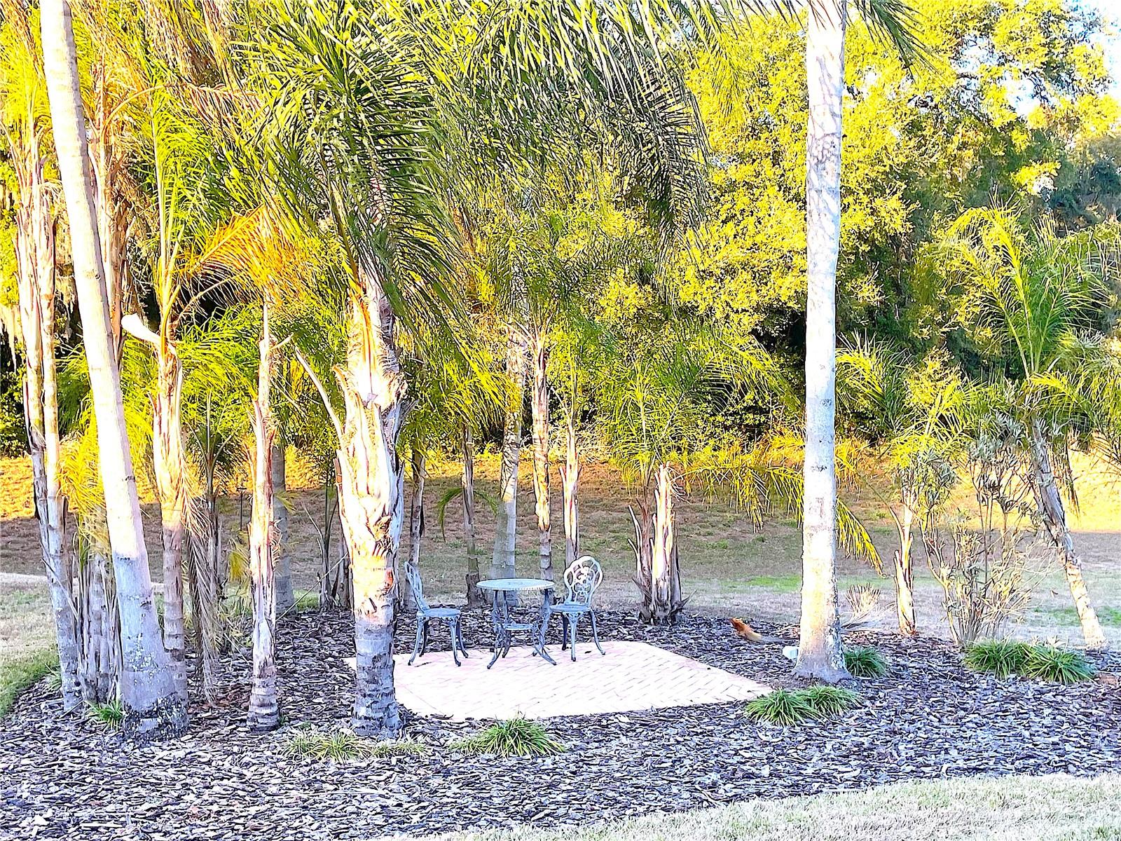 2560 HIGHLANDS VUE PKWY, LAKELAND, FL, 33812