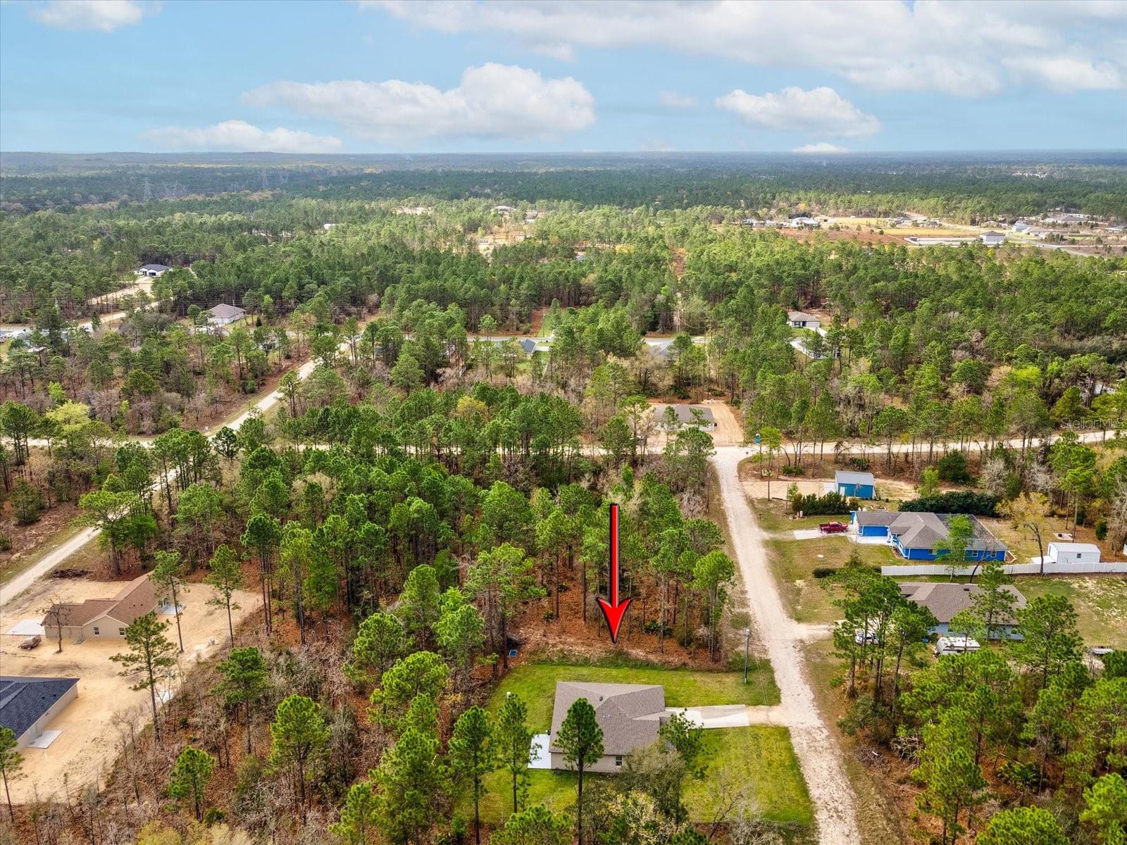 16334 FROST BIRD RD, WEEKI WACHEE, FL, 34614