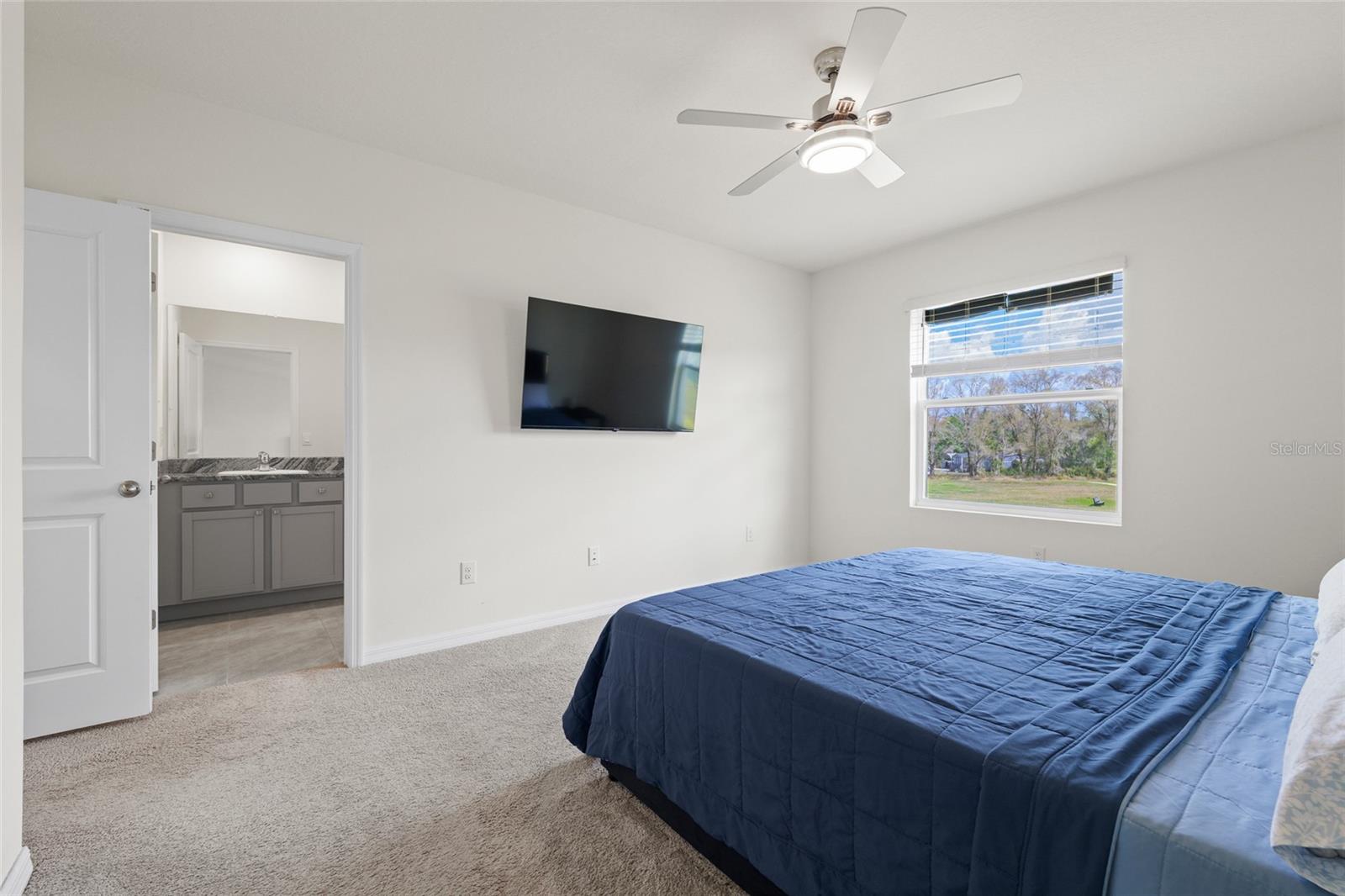 1287 COLT CREEK PL, WESLEY CHAPEL, FL, 33543