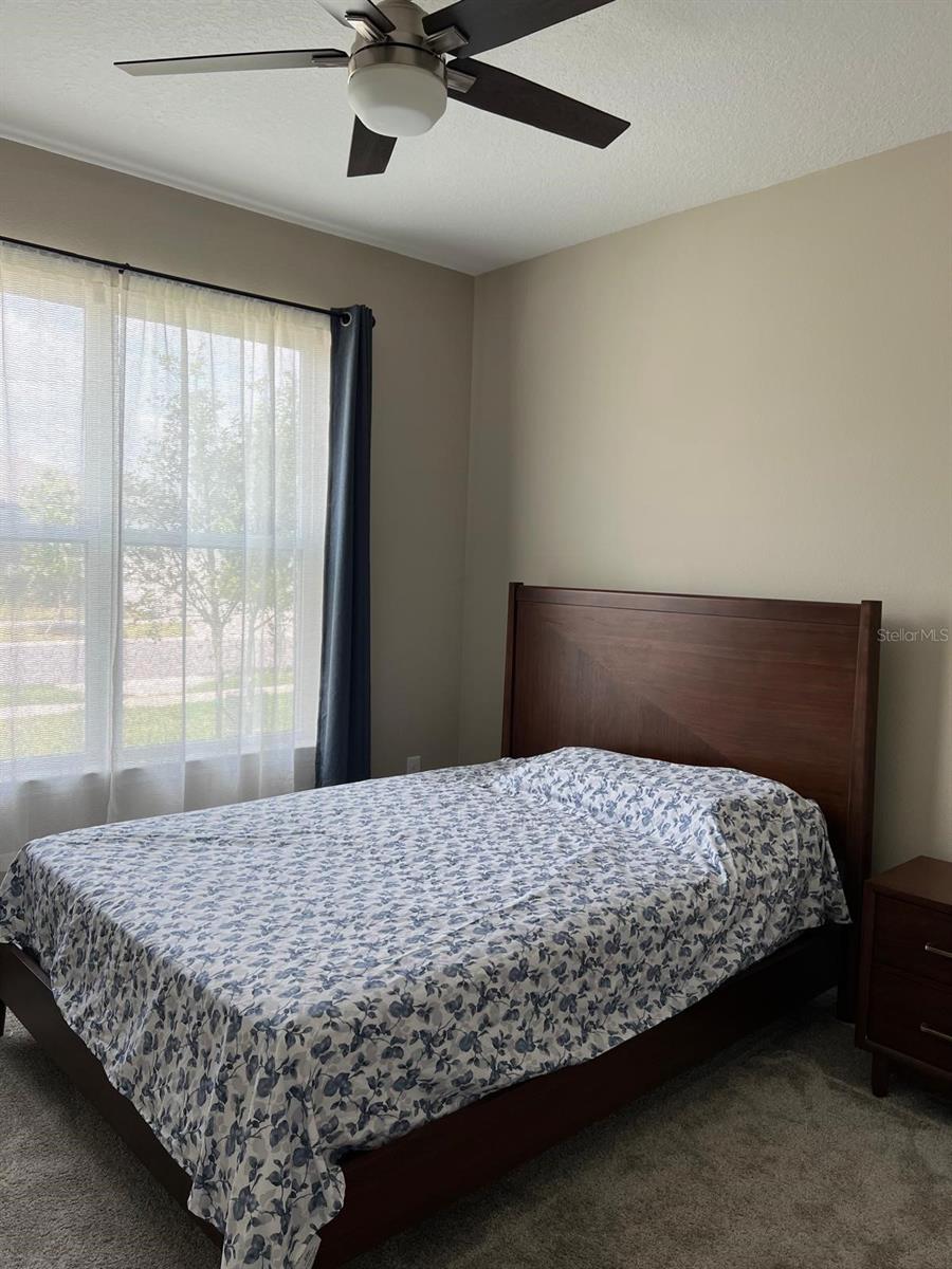 3900 ALMOND BROOK BLVD, LAND O LAKES, FL, 34638