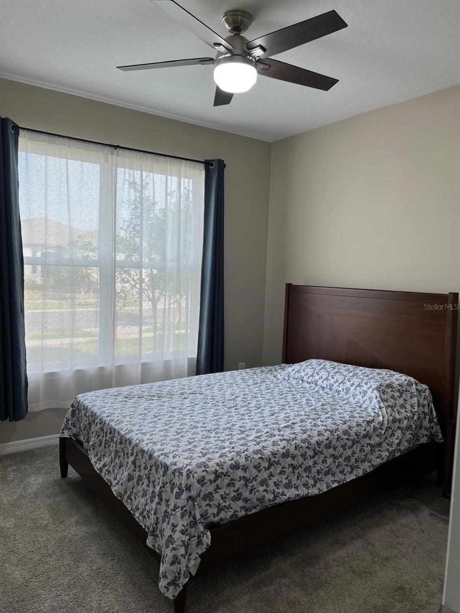 3900 ALMOND BROOK BLVD, LAND O LAKES, FL, 34638