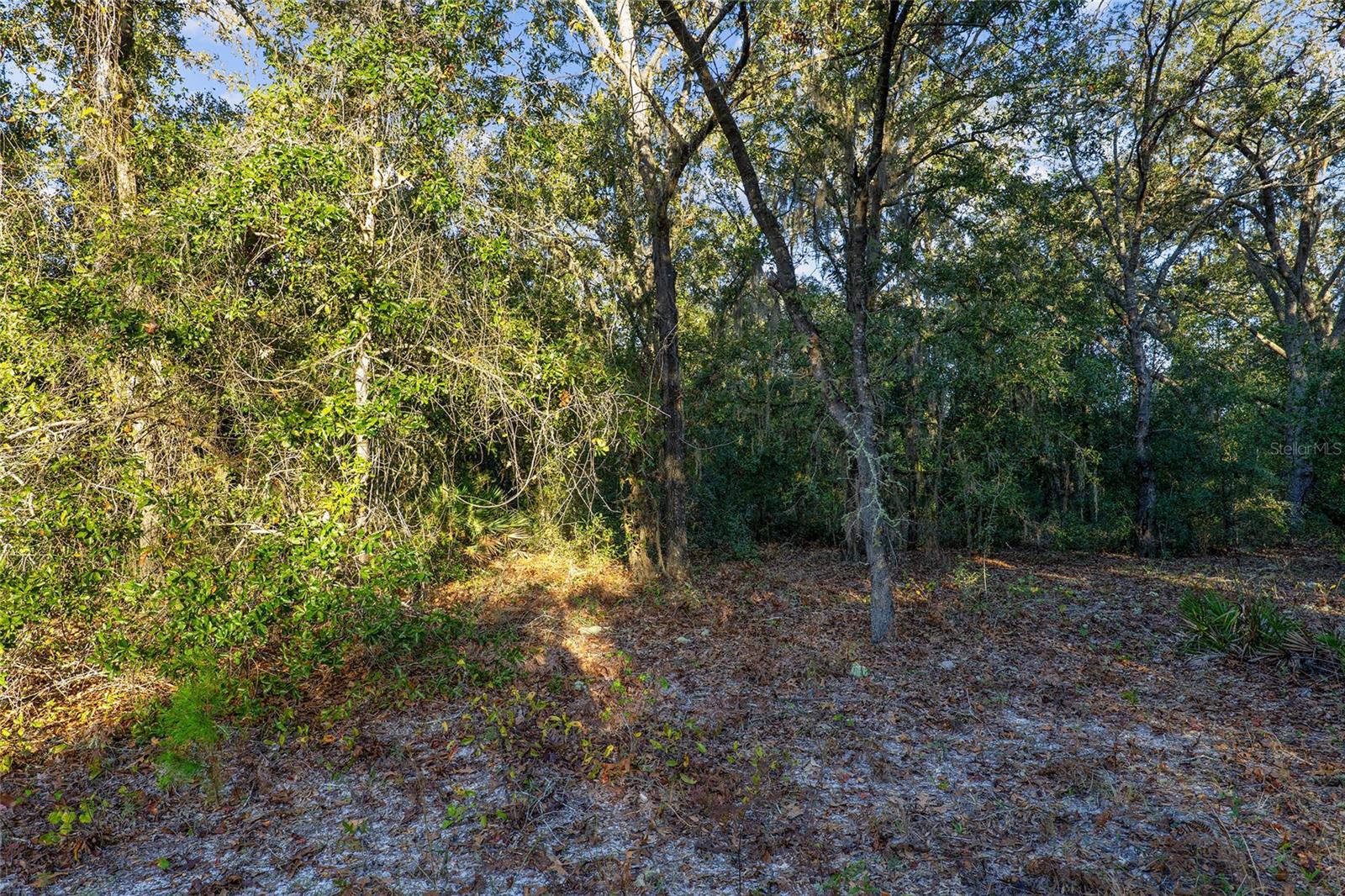TBD SW 174 PL, OCALA, FL, 34473