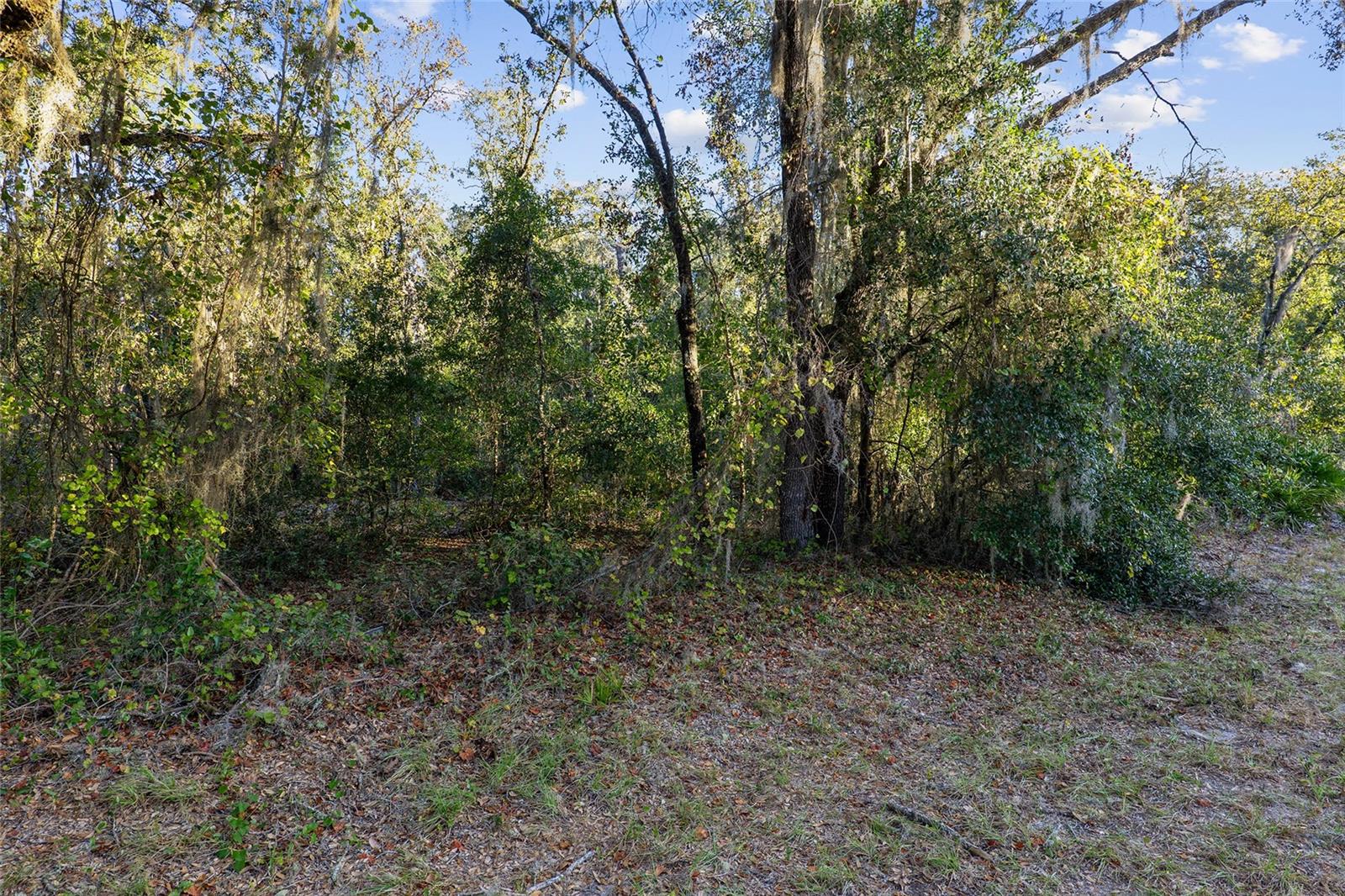 TBD SW 174 PL, OCALA, FL, 34473