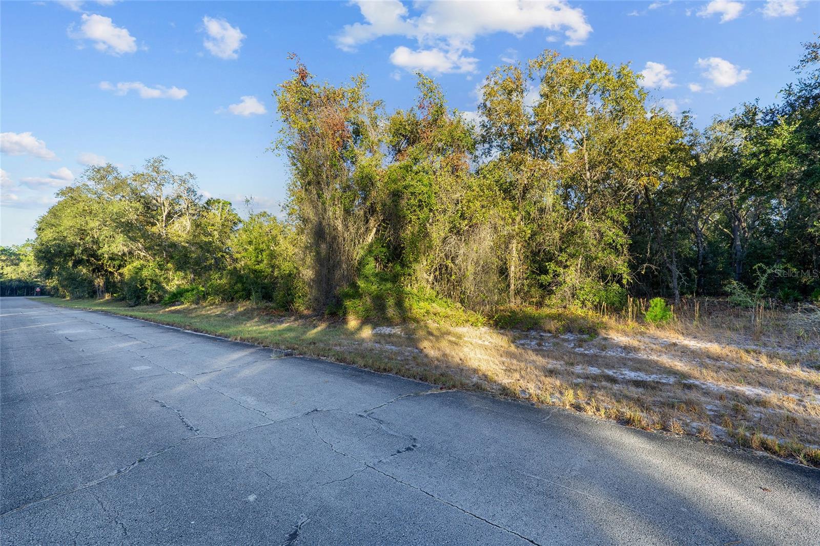 TBD SW 174 PL, OCALA, FL, 34473