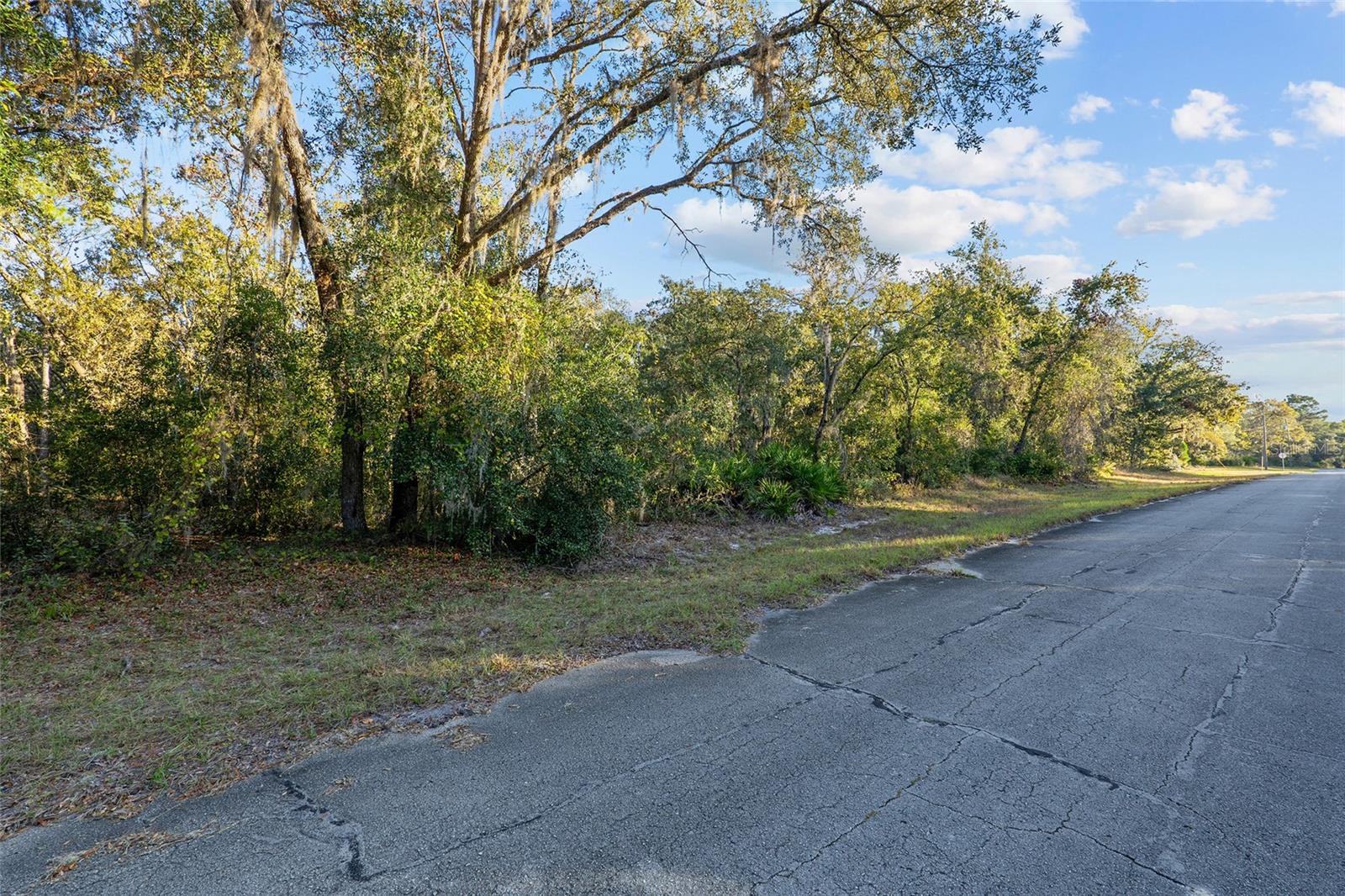 TBD SW 174 PL, OCALA, FL, 34473