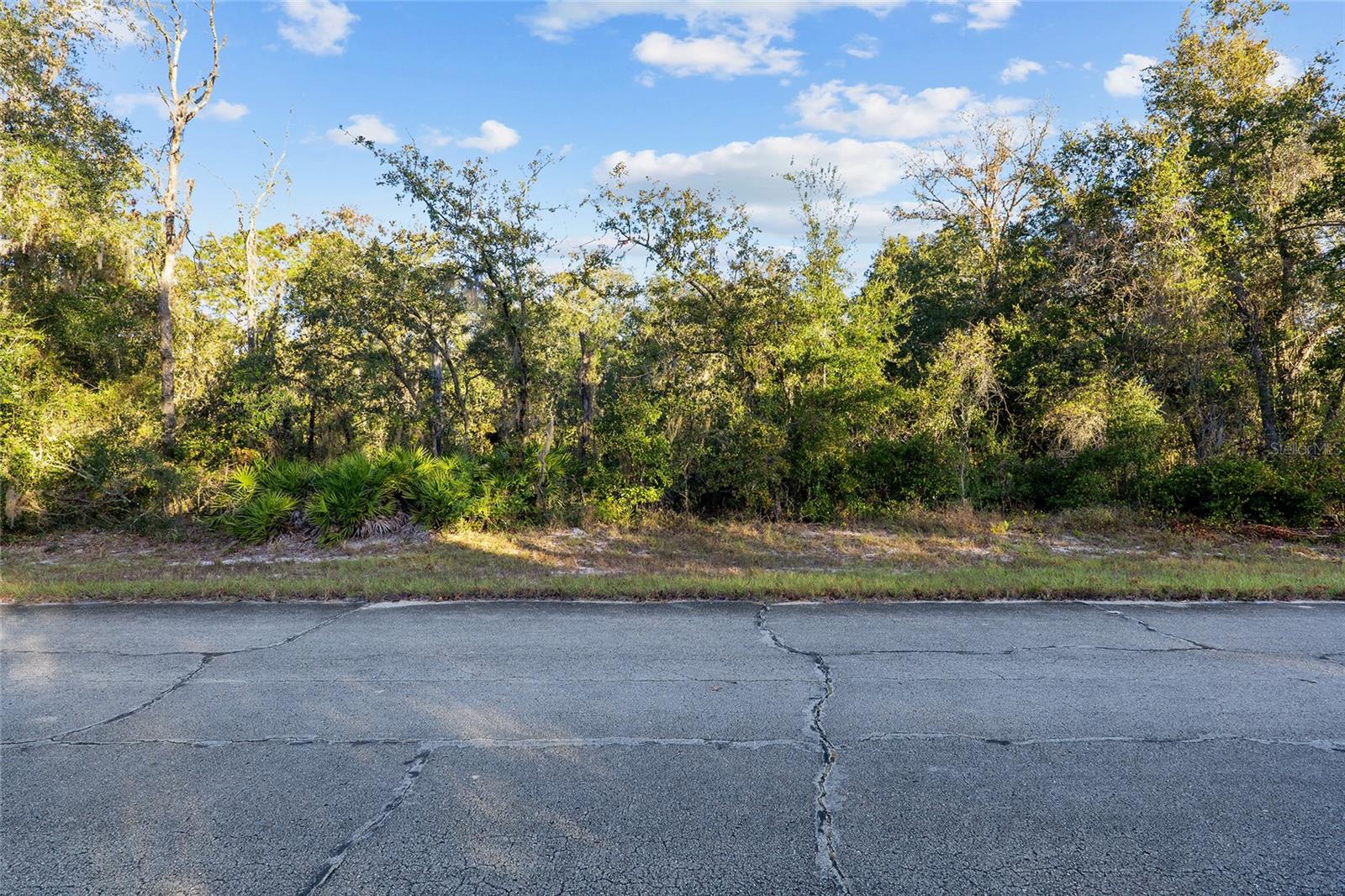 TBD SW 174 PL, OCALA, FL, 34473