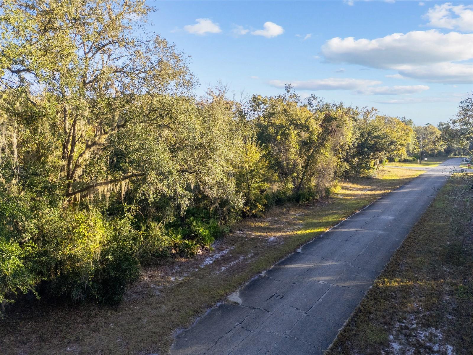 TBD SW 174 PL, OCALA, FL, 34473