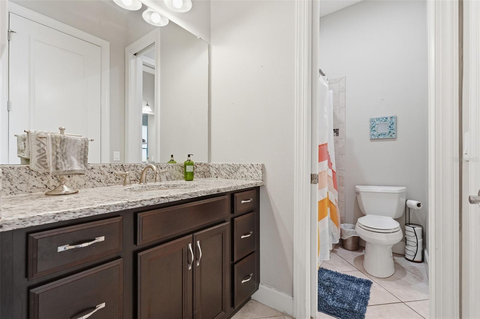 1501 AMARONE PL, LUTZ, FL, 33548