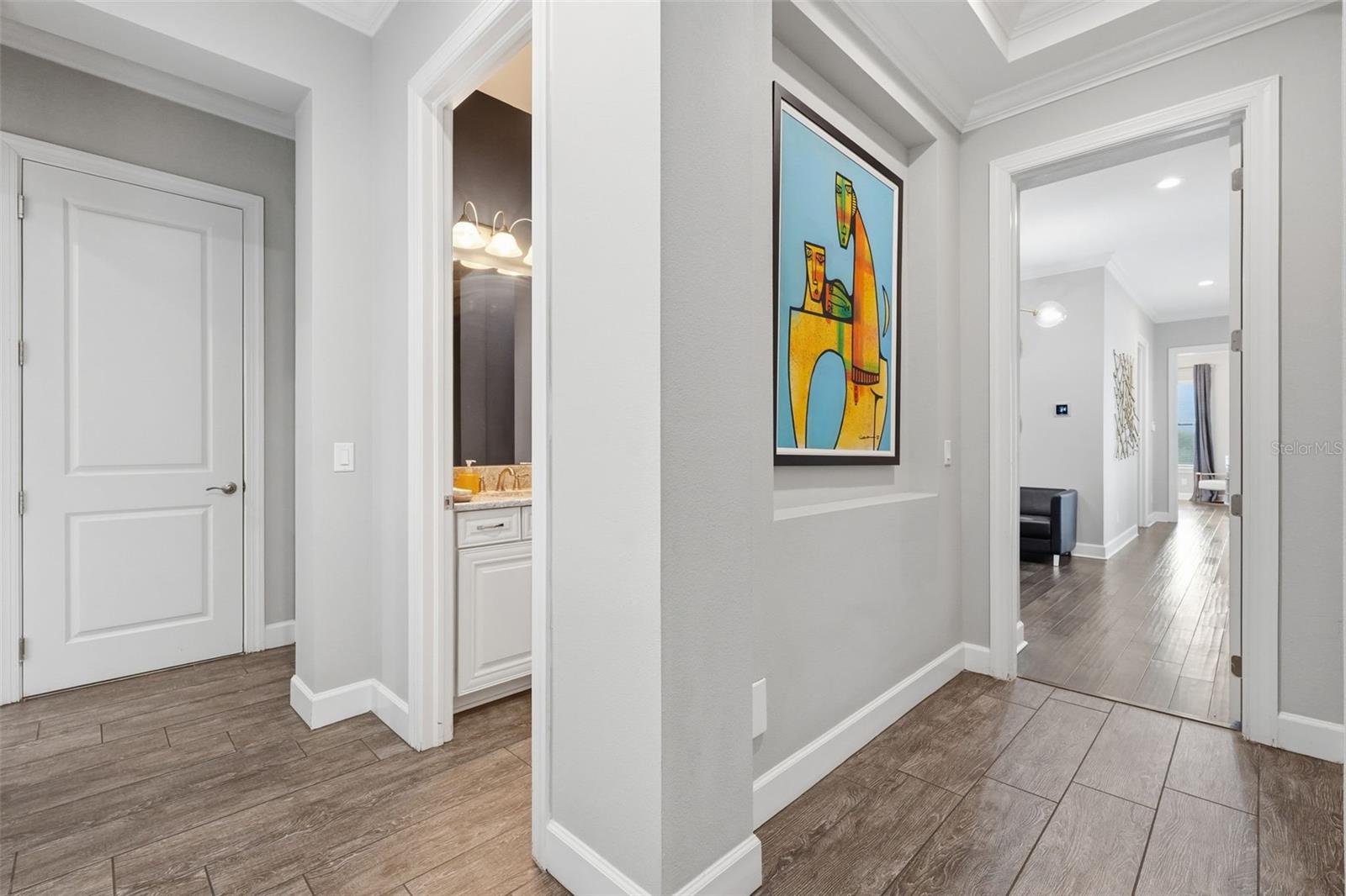 1501 AMARONE PL, LUTZ, FL, 33548