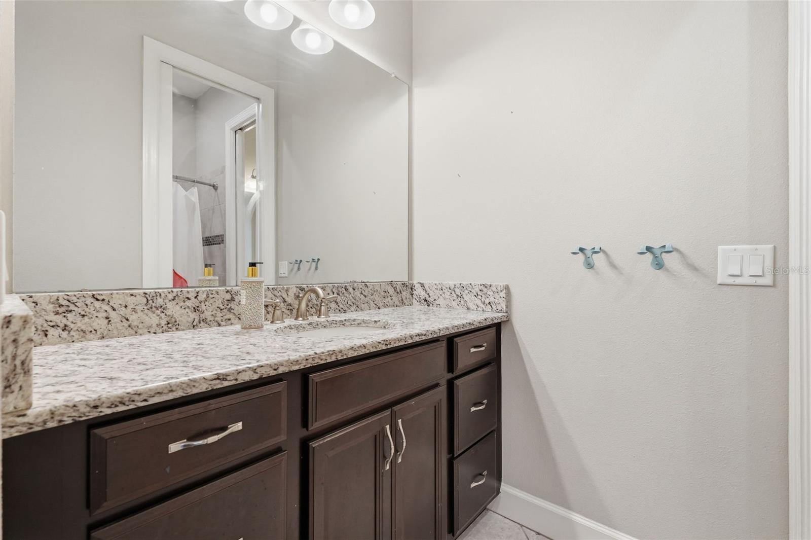 1501 AMARONE PL, LUTZ, FL, 33548