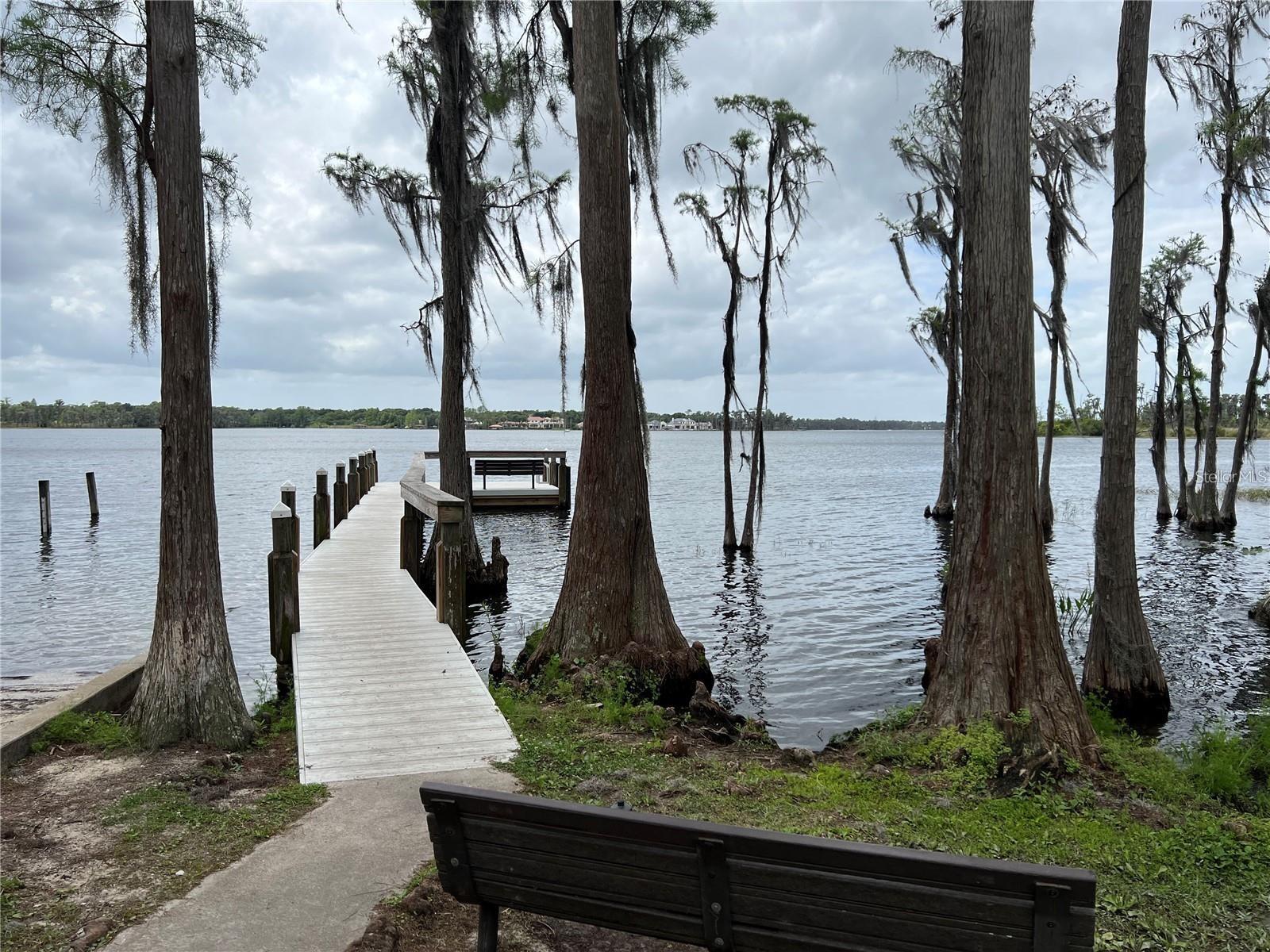 1118 ESTANCIA WOODS LOOP, WINDERMERE, FL, 34786