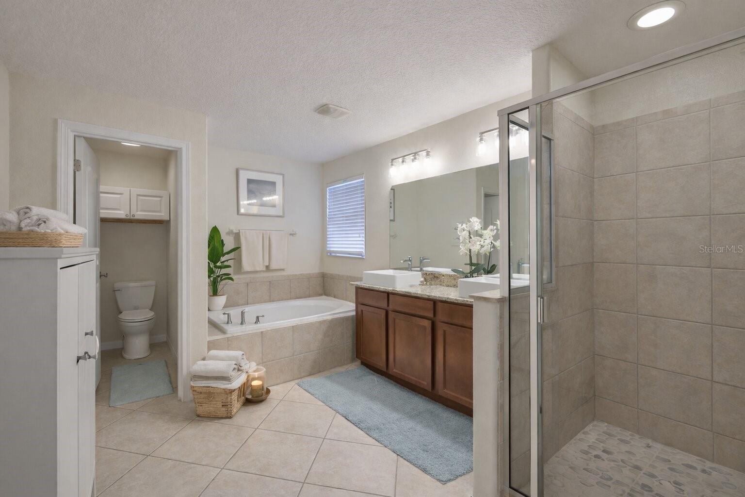 10335 SUMMER AZURE DR, RIVERVIEW, FL, 33578