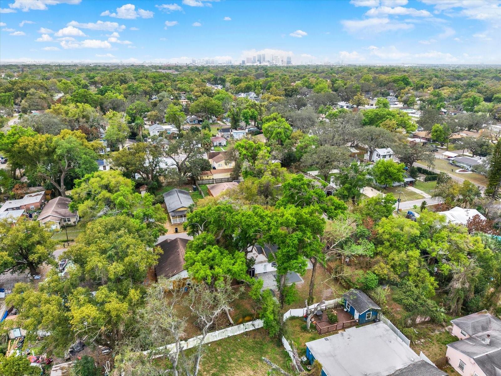 1910 E WILDER AVE, TAMPA, FL, 33610