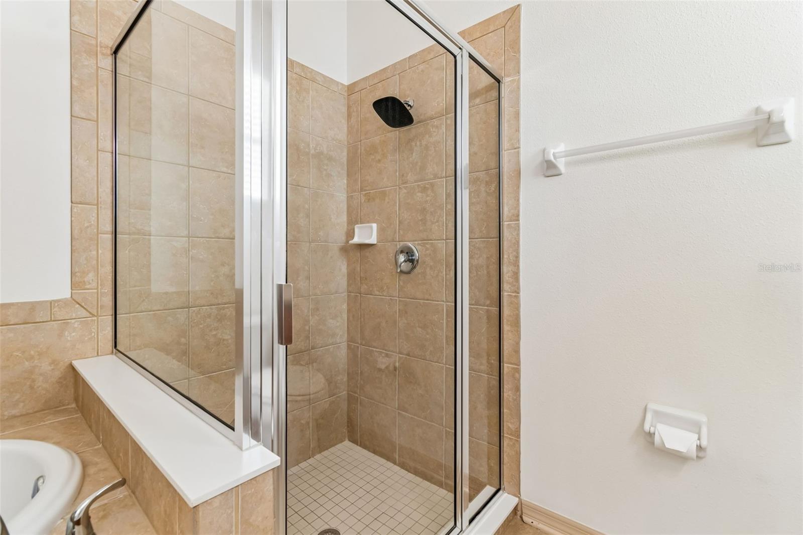 12831 GENEVA GLADE DR, RIVERVIEW, FL, 33578