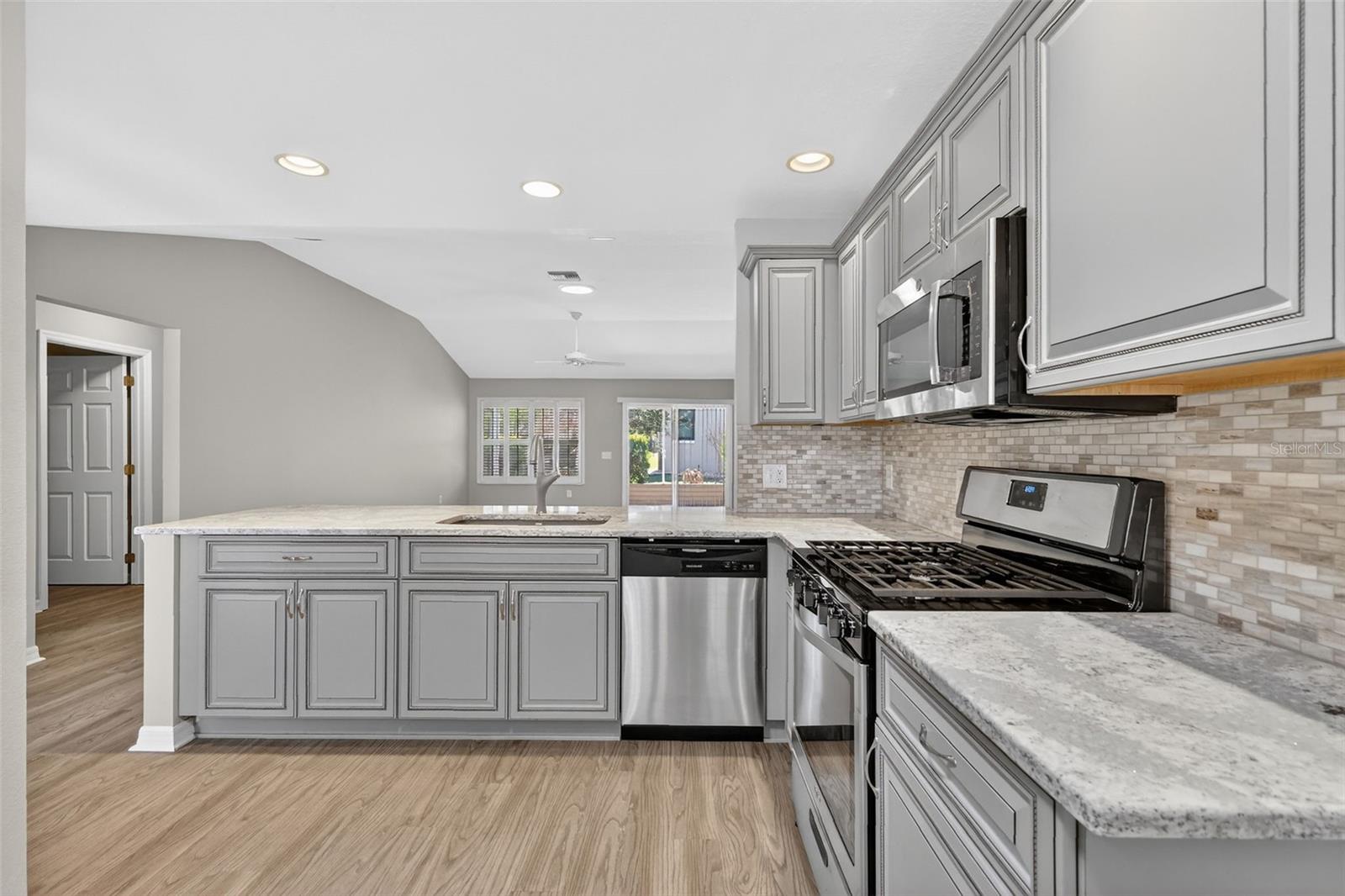 17559 SE 81ST PARNASSUS CT, THE VILLAGES, FL, 32162