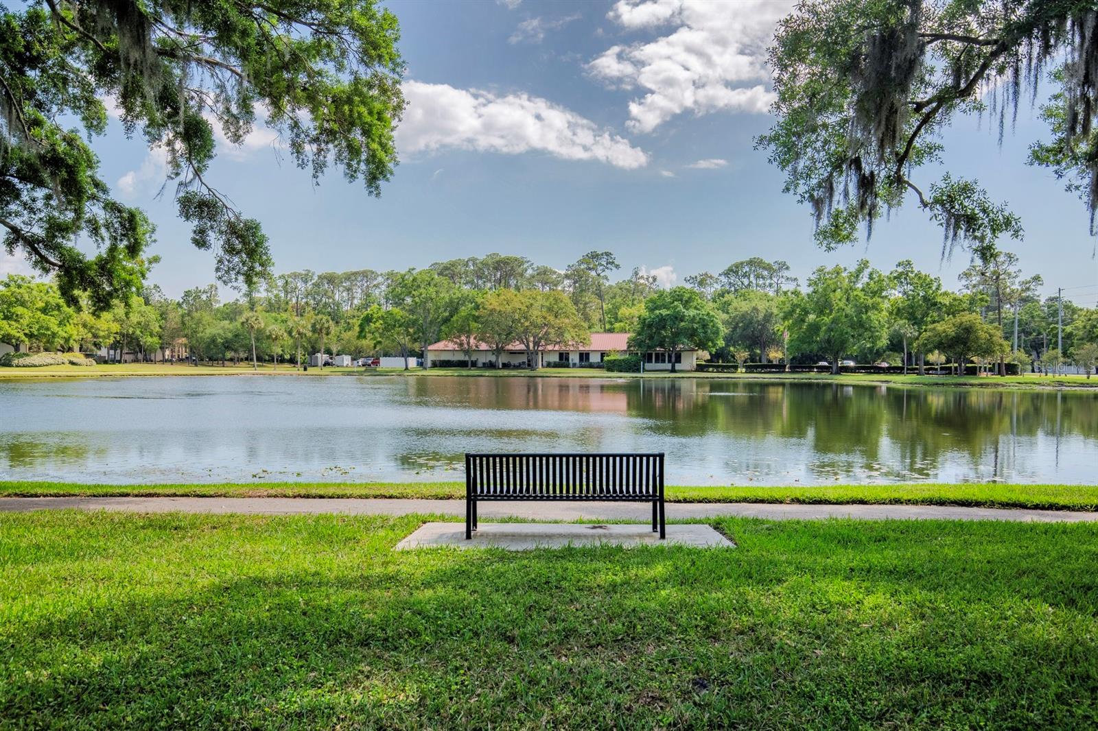 3545 INDIGO POND DR, PALM HARBOR, FL, 34685