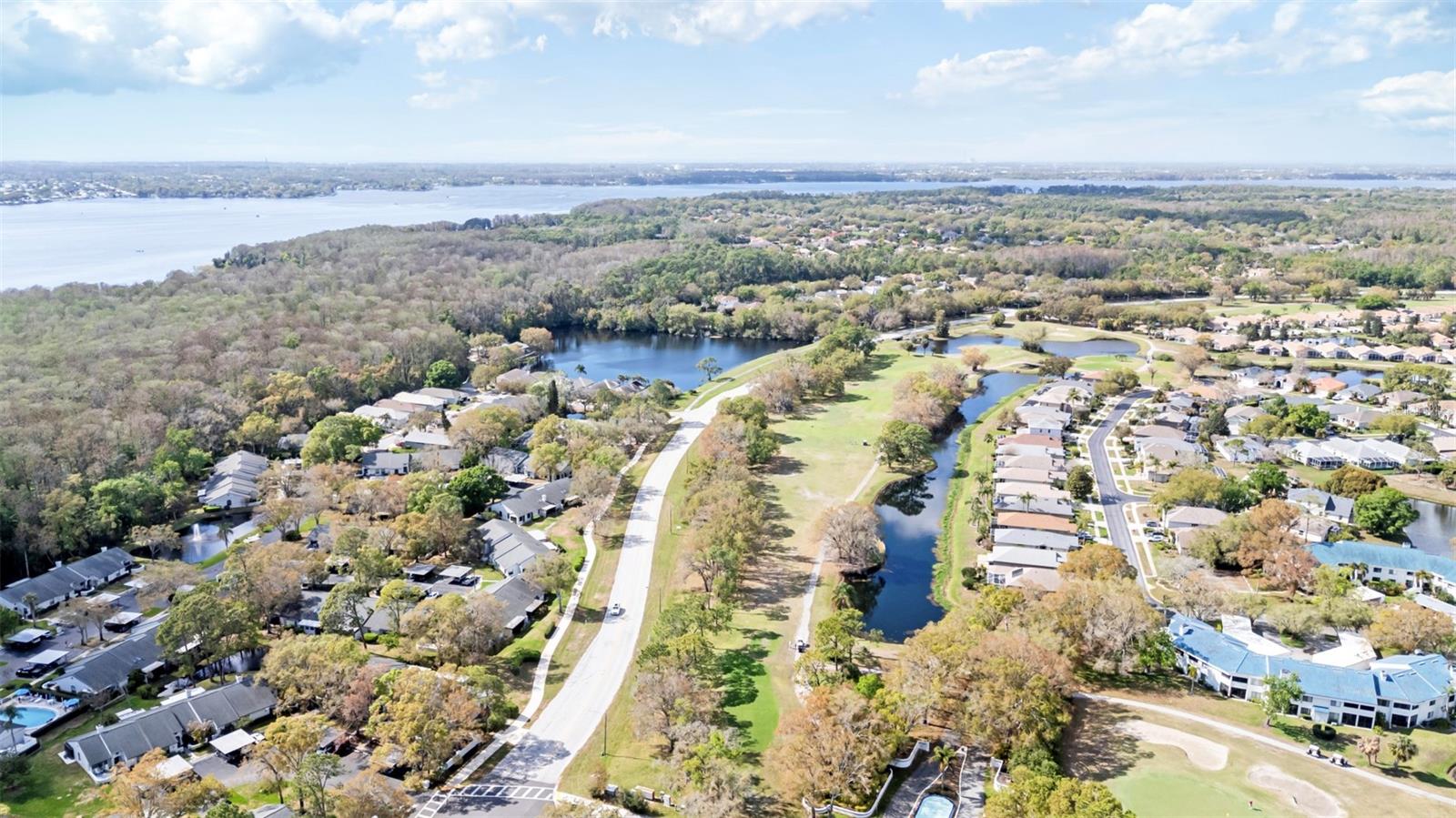 3545 INDIGO POND DR, PALM HARBOR, FL, 34685