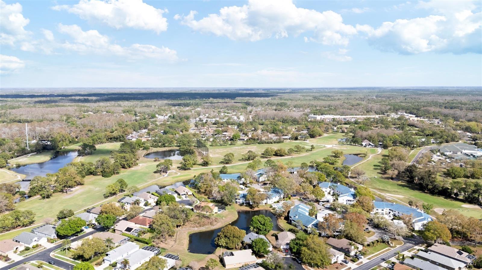 3545 INDIGO POND DR, PALM HARBOR, FL, 34685
