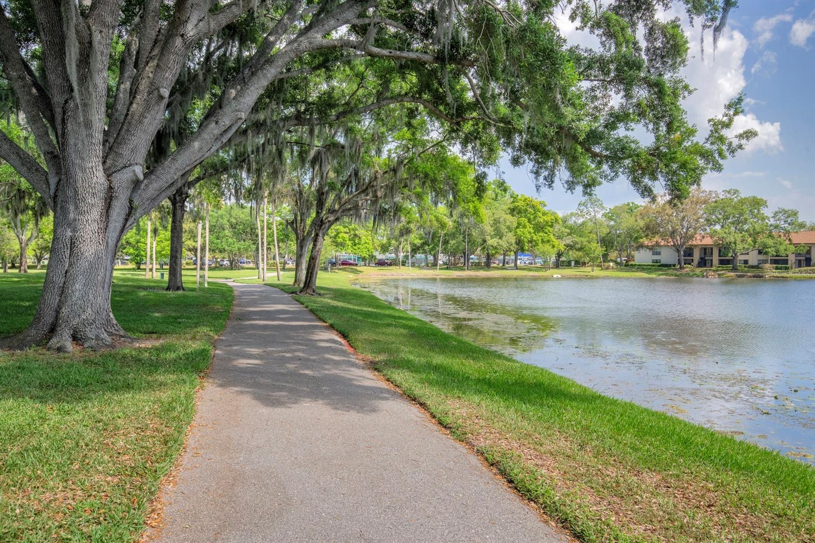 3545 INDIGO POND DR, PALM HARBOR, FL, 34685