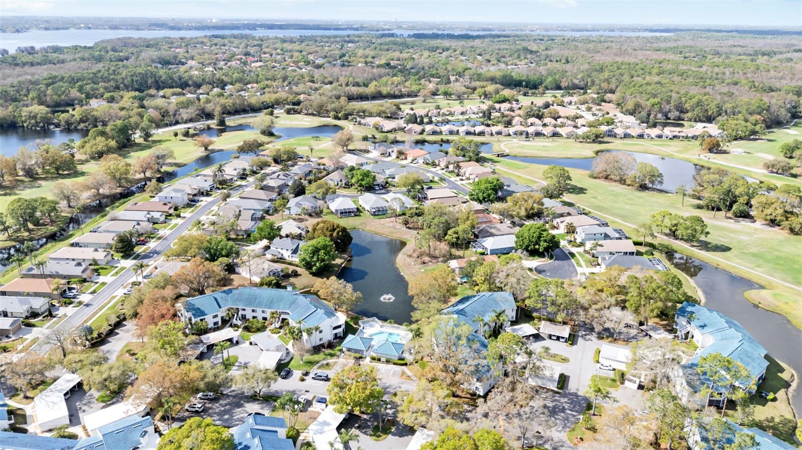 3545 INDIGO POND DR, PALM HARBOR, FL, 34685