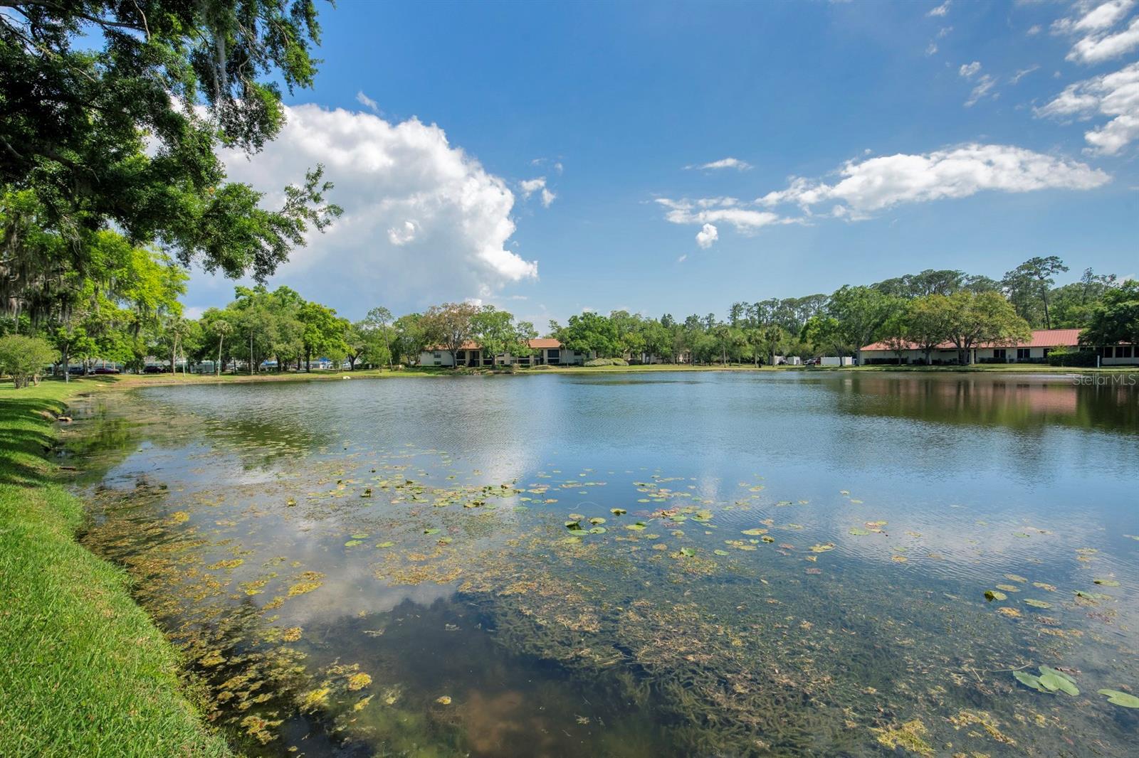 3545 INDIGO POND DR, PALM HARBOR, FL, 34685