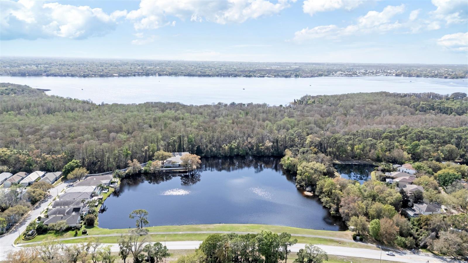 3545 INDIGO POND DR, PALM HARBOR, FL, 34685