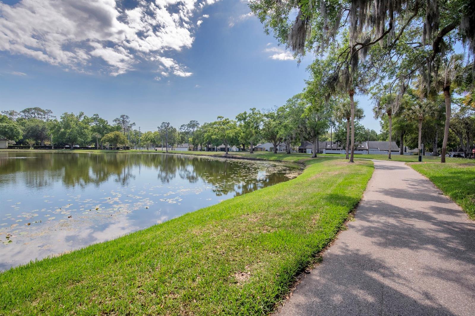 3545 INDIGO POND DR, PALM HARBOR, FL, 34685