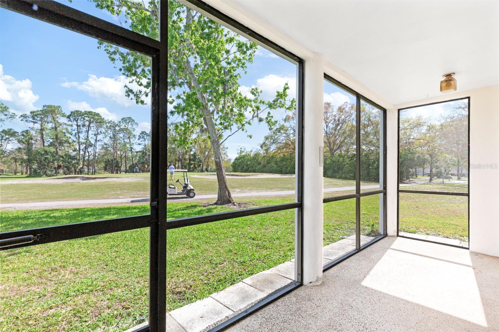 3545 INDIGO POND DR, PALM HARBOR, FL, 34685
